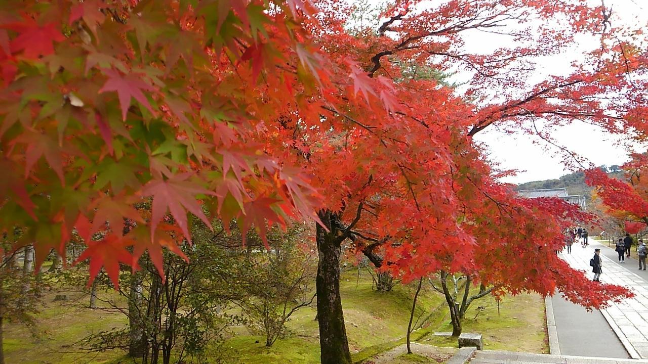 Le Blanc Hotel Kyoto Buitenkant foto